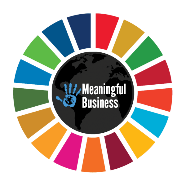 meaningful-business-logo_5472332afa344033d2bf9e7b6b9d883e