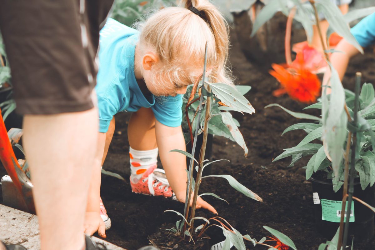 schoolgardening