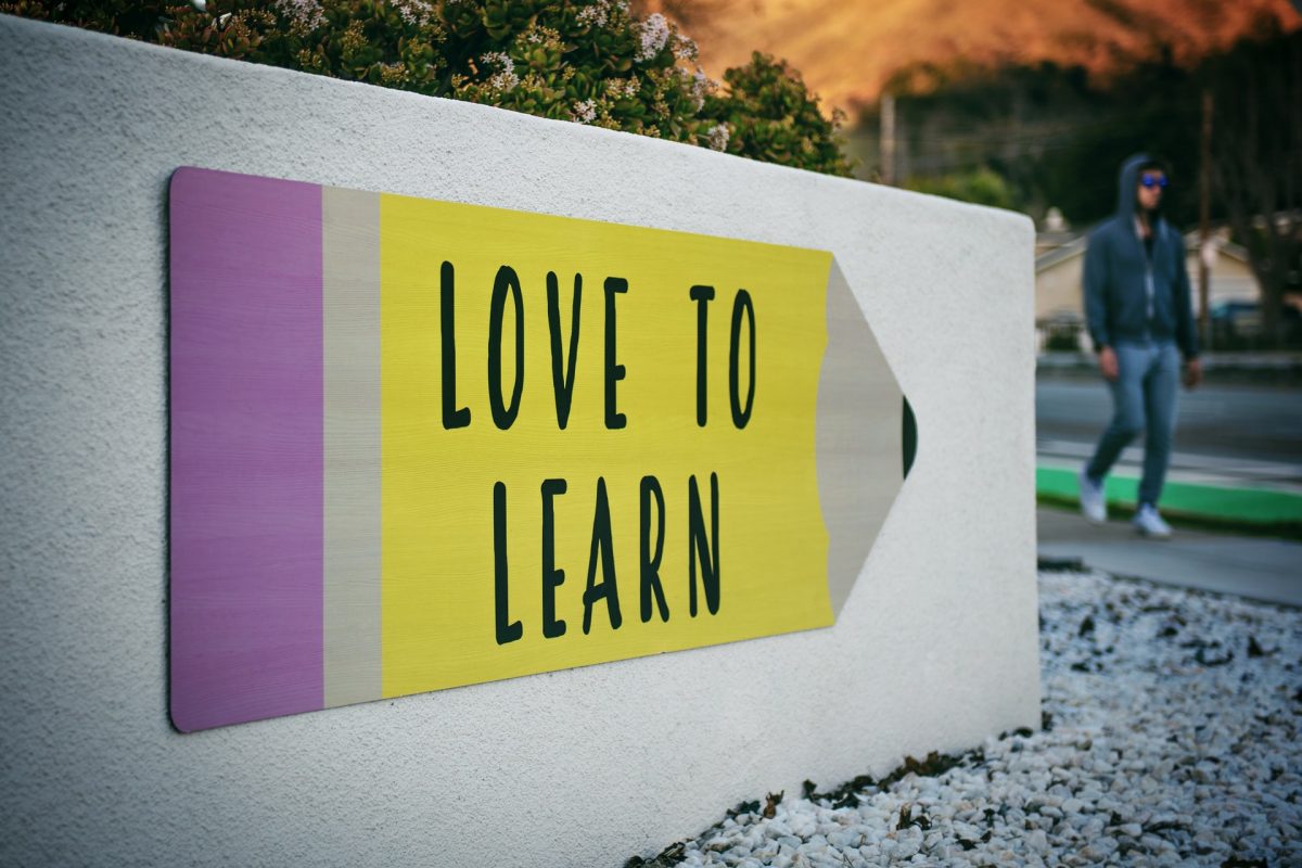 Education generic image Education generic image