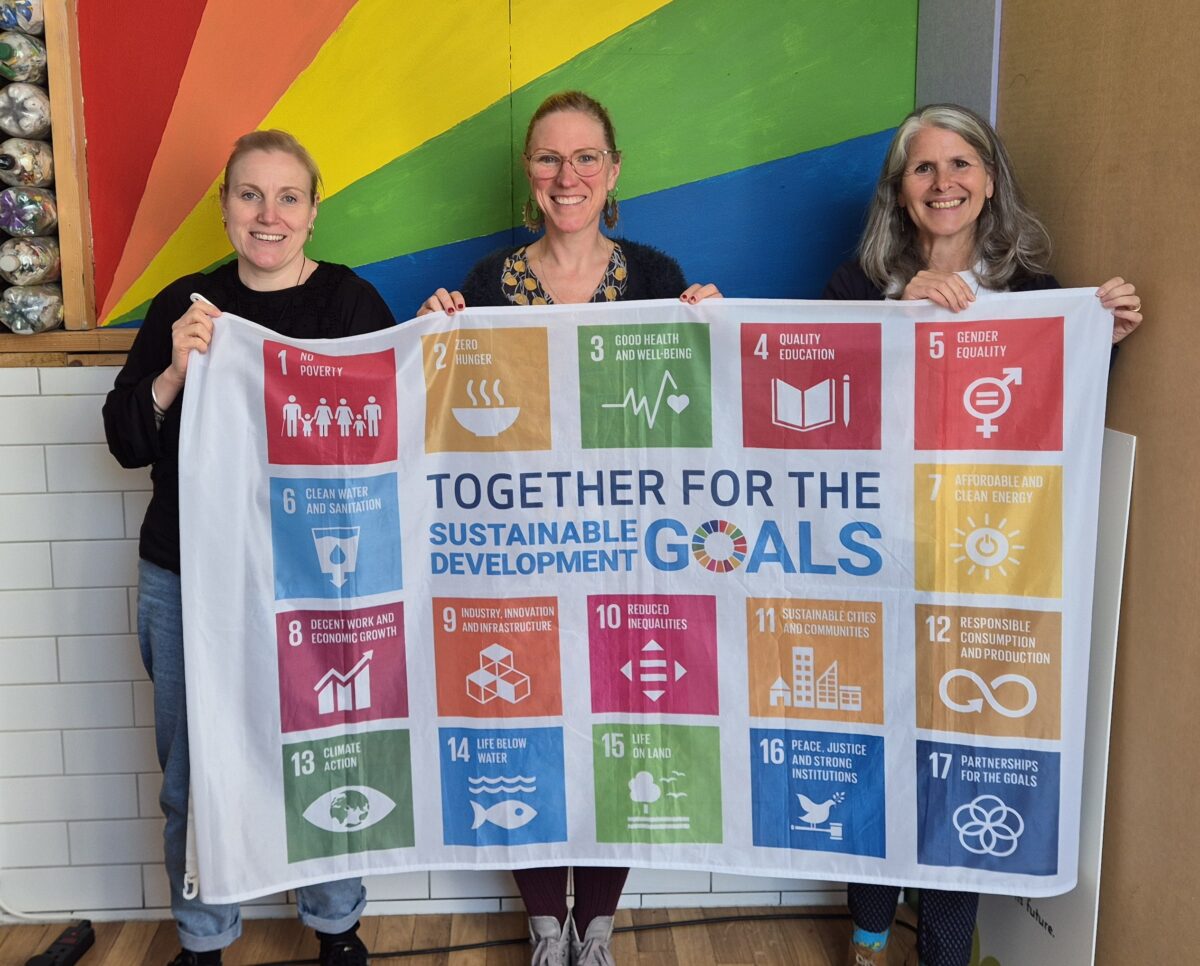 SDG flag
