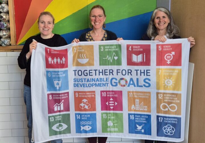 SDG flag SDG flag