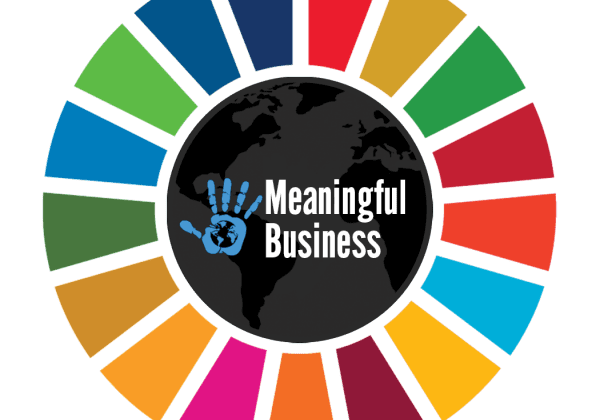 meaningful-business-logo_5472332afa344033d2bf9e7b6b9d883e